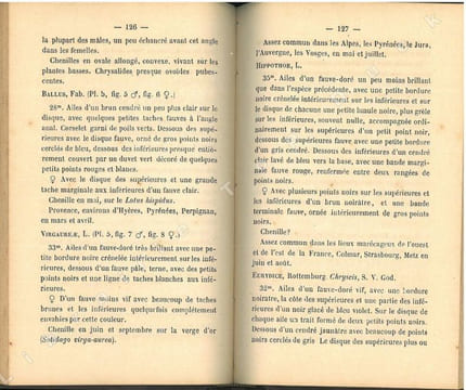 Faune entomologique française. Lépidoptères. Description de tous les papillons qui se trouvent en France.. Berce, Etienne
