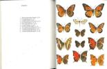 Jamaica and its butterflies.. Brown, F.M & B. B. Heineman