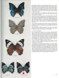 Butterflies of the Afrotropical Region.
