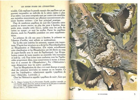 Papillons d'Europe. I. Diurnes et écailles. II. Nocturnes et Sphingides.. Aubert, J.-F.