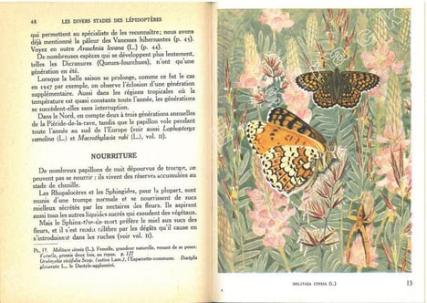 Papillons d'Europe. I. Diurnes et écailles. II. Nocturnes et Sphingides.. Aubert, J.-F.