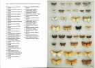 British Pyralid moths. A guide to their identification.. Goater, Barry