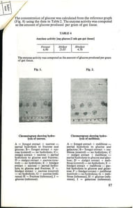 Carbohydrases of the american cockroach Periplaneta americana.