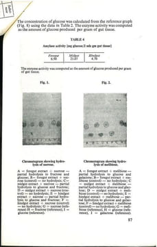 Carbohydrases of the american cockroach Periplaneta americana.. Balogun, R.A. & E.M. Akintunde