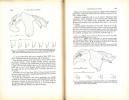 Mantodea of Ghana : new species, further records and habitats.. Roy, R. & D. Leston
