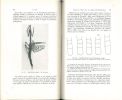 Mises au point sur le genre Heterochaeta Westwood (Mantodea).. Roy, Roger