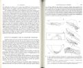 Cycles reproducteurs de la femelle de Labidura riparia (Insecte, Dermaptère) et leurs contrôles neuroendocrines.. Caussanel, Claude