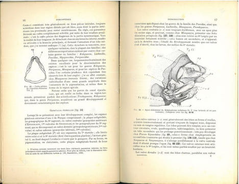 Faune de France. 42. Psocoptères.. Badonnel, A.