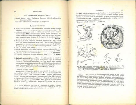 Faune de France. 42. Psocoptères.. Badonnel, A.
