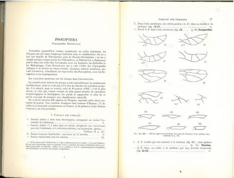 Faune de France. 42. Psocoptères.. Badonnel, A.