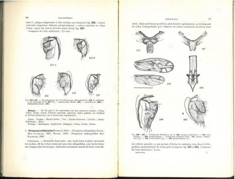 Faune de France. 42. Psocoptères.. Badonnel, A.