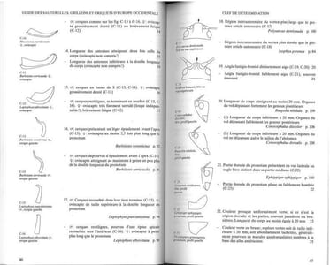 Guide des sauterelles, grillons et criquets d'Europe occidentale.