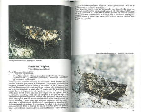 Guide des sauterelles, grillons et criquets d'Europe occidentale.. Bellmann, H. & G.C. Luquet