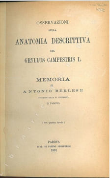 Osservazioni sulla anatomia descrittiva del Gryllus campestris L... Berlese, Antonio