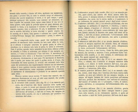 Osservazioni sulla anatomia descrittiva del Gryllus campestris L... Berlese, Antonio