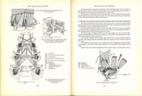 The anatomy of the migratory locust.
