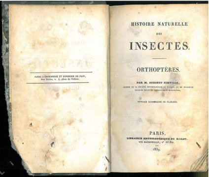 Histoire naturelle des insectes. Orthoptères.. Audinet Serville, Jean-Guillaume