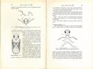 Contribution à l'étude de la faune du Mozambique, voyage de M. P. Lesne (1928-1929) (15° note). Hémiptères aquatiques.. Poisson, Raymond