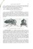 Genres nouveaux, espèces nouvelles de membracides centrafricains (Hom. Auchenorhyncha).. Boulard, Michel