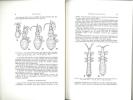 Faune de Madagascar. VII. Insectes hémiptères Enicocephalidae.. Villiers, André