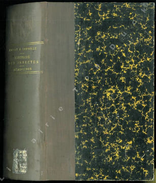 Histoire naturelle des insectes. Hémiptères.. Amyot, C.J.-B. & J.-G. Audinet Serville