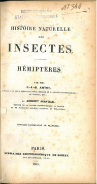 Histoire naturelle des insectes. Hémiptères.. Amyot, C.J.-B. & J.-G. Audinet Serville