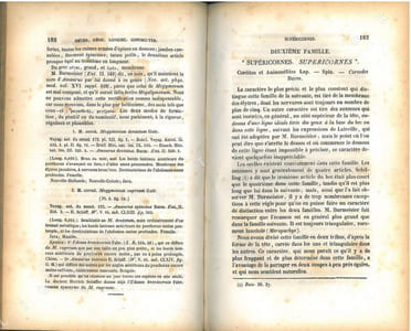 Histoire naturelle des insectes. Hémiptères.