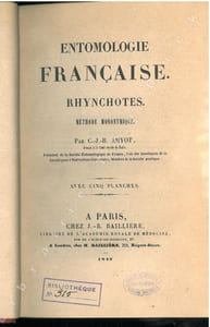 Entomologie française. Rynchotes. Méthode mononymique.