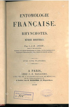 Entomologie française. Rynchotes. Méthode mononymique.. Amyot, Charles Jean-Baptiste