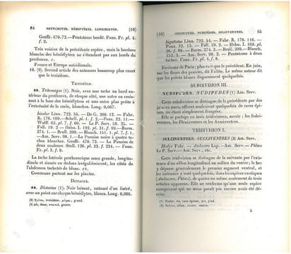 Entomologie française. Rynchotes. Méthode mononymique.. Amyot, Charles Jean-Baptiste
