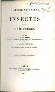 Histoire naturelle des insectes. Hémiptères.