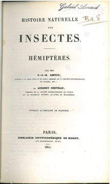 Histoire naturelle des insectes. Hémiptères.. Amyot, C.-J.-B. & J.G. Audinet Serville