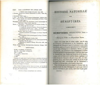Histoire naturelle des insectes. Hémiptères.