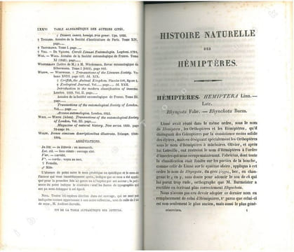 Histoire naturelle des insectes. Hémiptères.. Amyot, C.-J.-B. & J.G. Audinet Serville