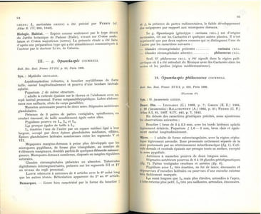 Les cochenilles paléarctiques de la tribu des Diaspinidi.