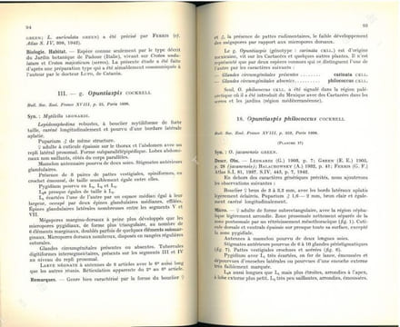 Les cochenilles paléarctiques de la tribu des Diaspinidi.. Balachowsky, A.S.