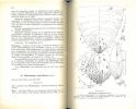 Les cochenilles paléarctiques de la tribu des Diaspinidi.. Balachowsky, A.S.