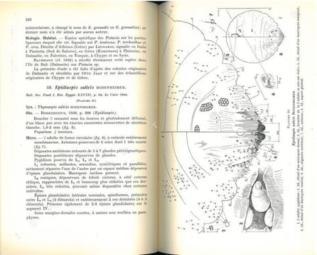 Les cochenilles paléarctiques de la tribu des Diaspinidi.. Balachowsky, A.S.