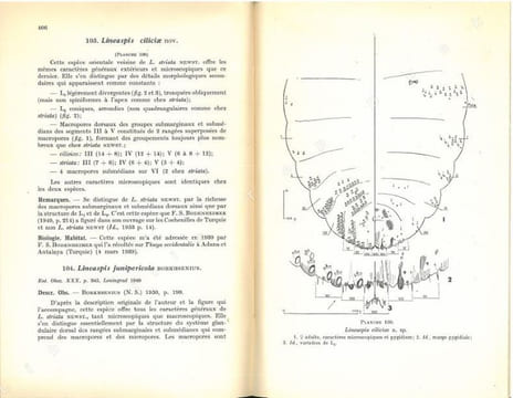 Les cochenilles paléarctiques de la tribu des Diaspinidi.. Balachowsky, A.S.