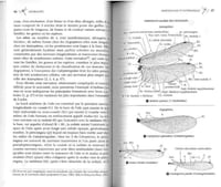 Guide des libellules d'Europe et d'Afrique du Nord. L'identification et la biologie de toutes les espèces.