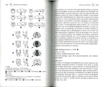 Guide des libellules d'Europe et d'Afrique du Nord. L'identification et la biologie de toutes les espèces.