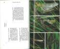 Guide des libellules d'Europe et d'Afrique du nord.. Aguilar, Jacques d' & J.L. Dommanget