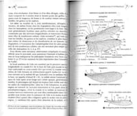 Guide des libellules d'Europe et d'Afrique du Nord. L'identification et la biologie de toutes les espèces.