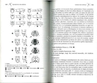 Guide des libellules d'Europe et d'Afrique du Nord. L'identification et la biologie de toutes les espèces.