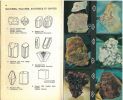 Guide des roches et minéraux.. Pough, Frederick H.