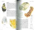 Guide des minéraux, roches et fossiles. Toutes les merveilles du sol et du sous-sol.. Bishop, A.C. et al.