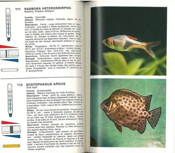 L'aquarium.