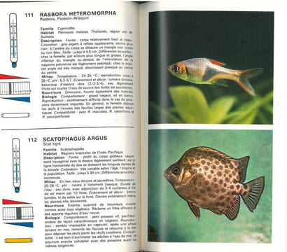 L'aquarium.. Bianchini, F. et al.