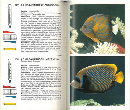 L'aquarium.. Bianchini, F. et al.