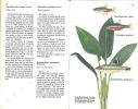 Guide de l'aquarium, poissons et plantes.. Schiötz, A. & P. Dahlström